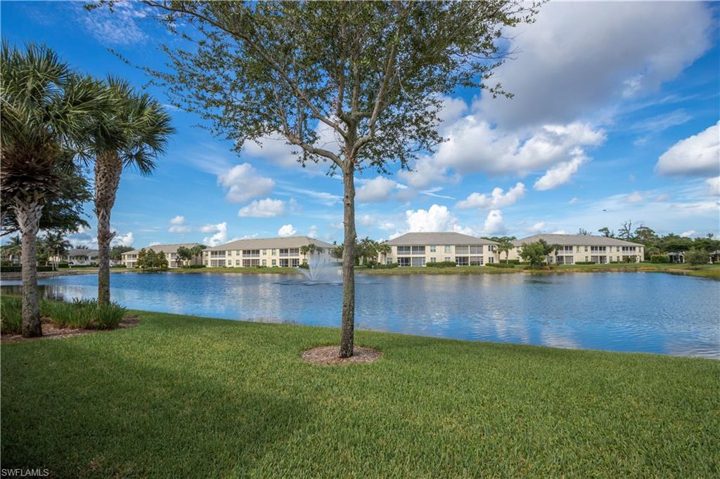 Waterfront setting featuring a fountain, manicured lawn, and mature palm trees