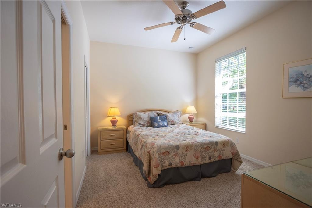 Window with blinds, ceiling fan, and carpeted flooring