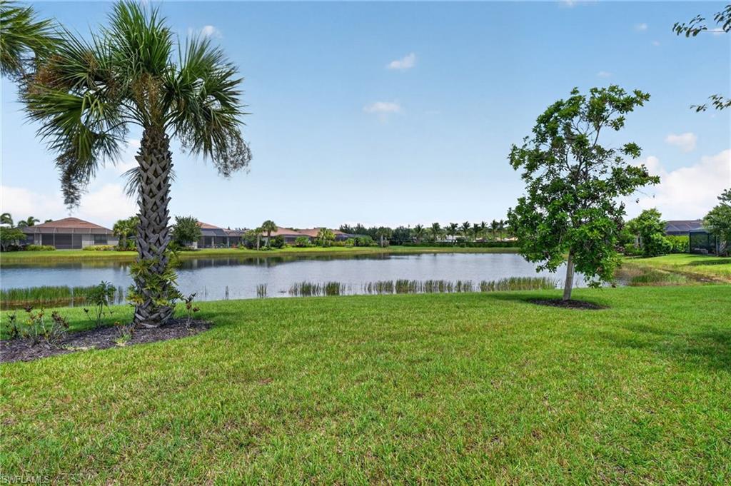 12056 Westmoreland WAY photo 32