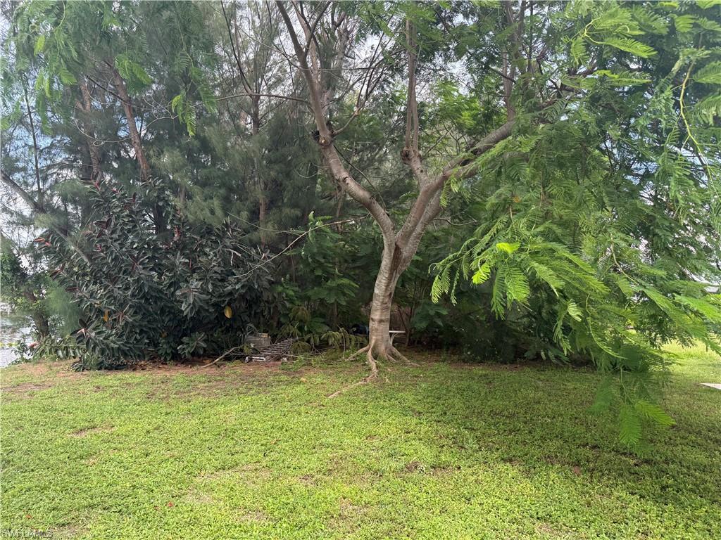 Manicured lawn with mature trees and diverse foliage