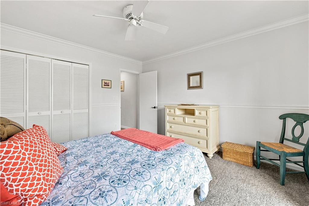 Wall-to-wall carpeting with bi-fold closet doors, crown molding, and a ceiling fan