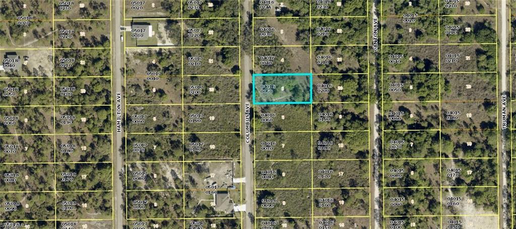 Plat Map, Parcel Identification. Illustrating the property's location and boundaries within the larger subdivision