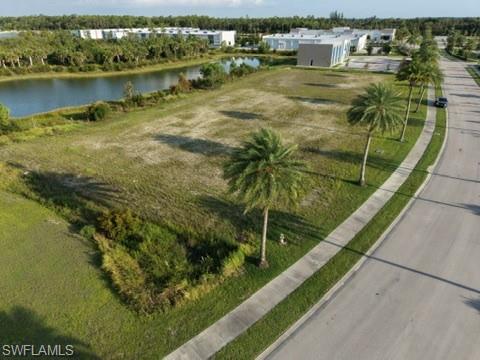 Expansive lot featuring mature palm trees, a concrete sidewalk, and a paved road