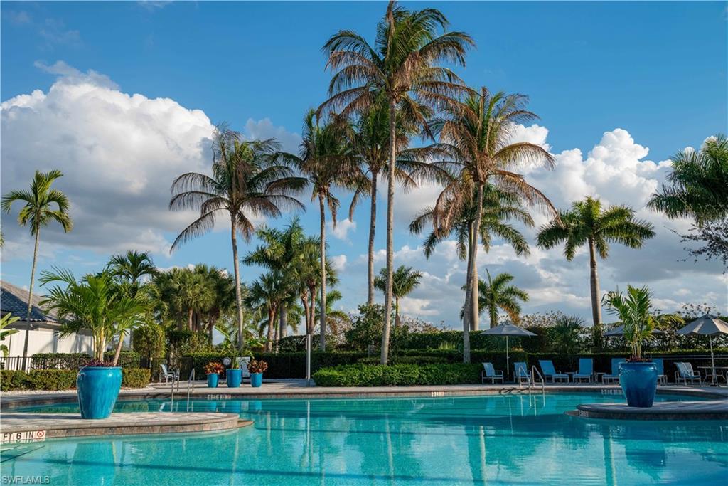 Expansive swimming pool with integrated steps, surrounded by mature palm trees and lush landscaping