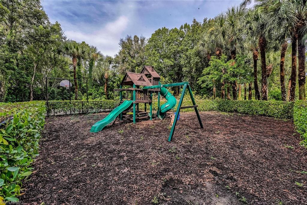 View of playground