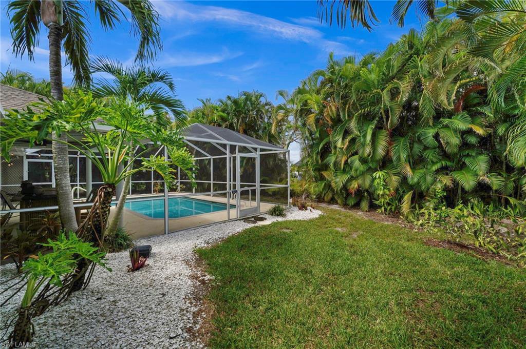 Magical tropical yard