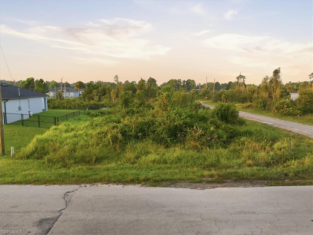 Expansive undeveloped lot with natural foliage, featuring a paved road frontage