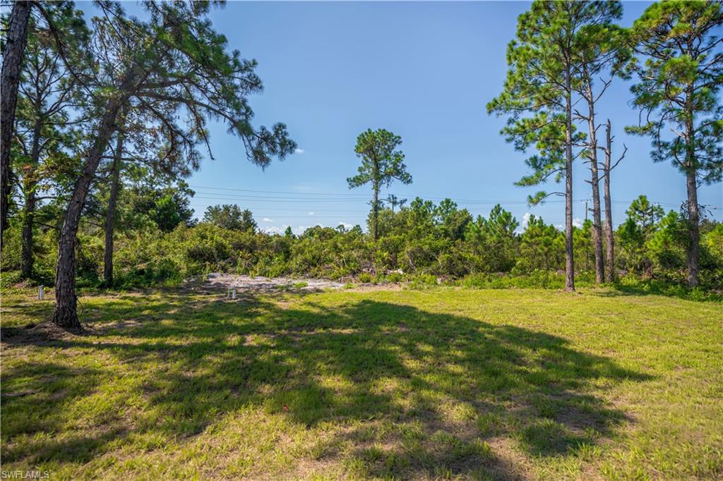 Expansive grounds featuring mature pine and hardwood trees with open lawn areas and natural landscape borders, offering substantial outdoor space and established tree canopy
