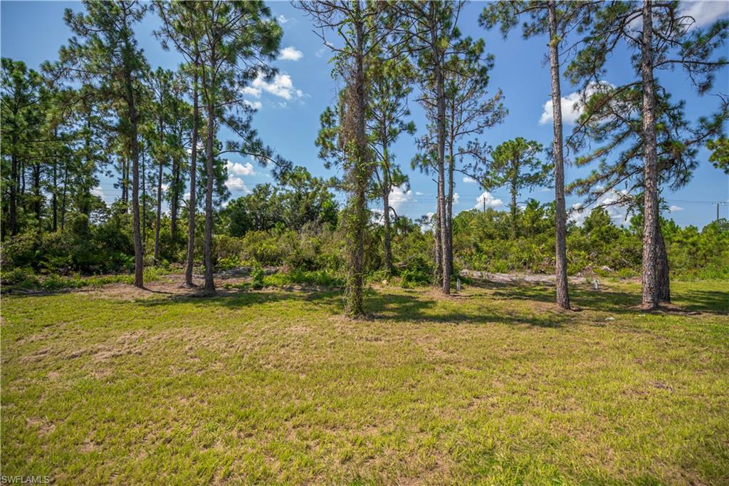 Property photo 42