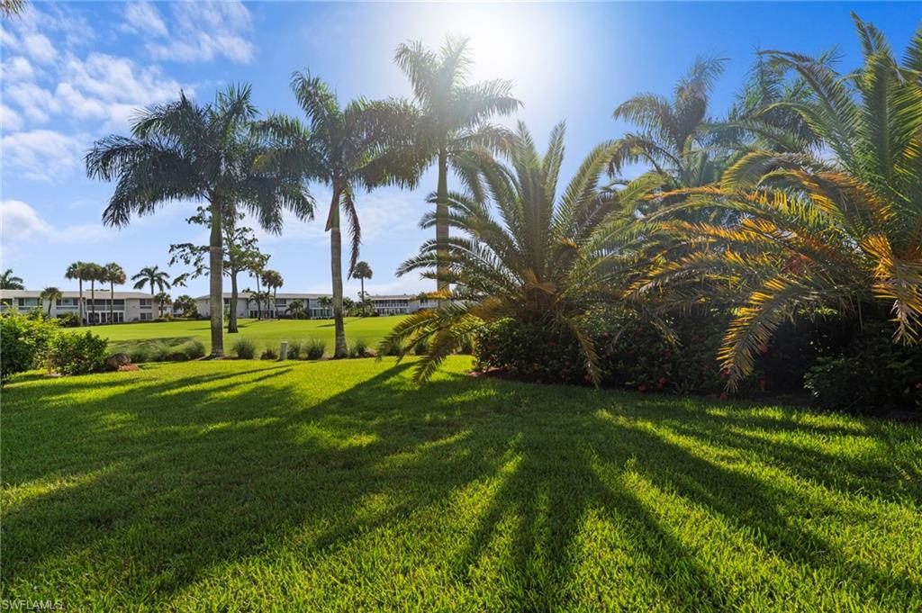 263 Palm DR 4 photo 31