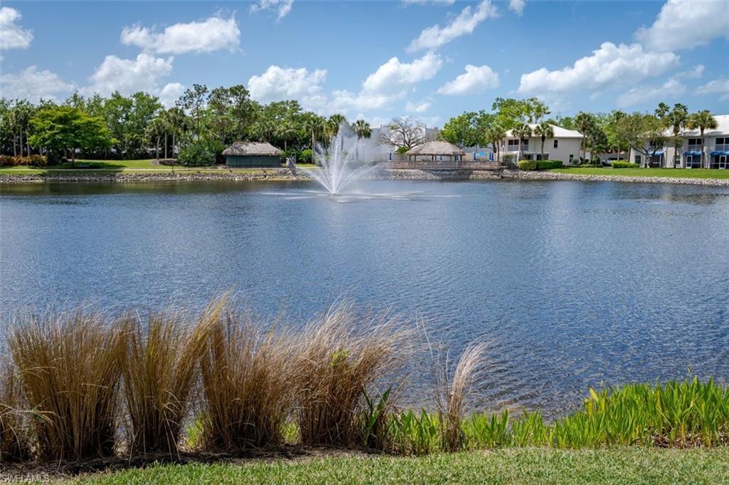 834 Gulf Pavilion DR 204 photo 42