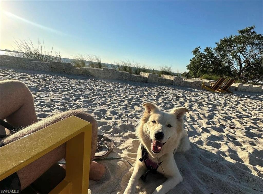 The Beach At "The Bay" Park