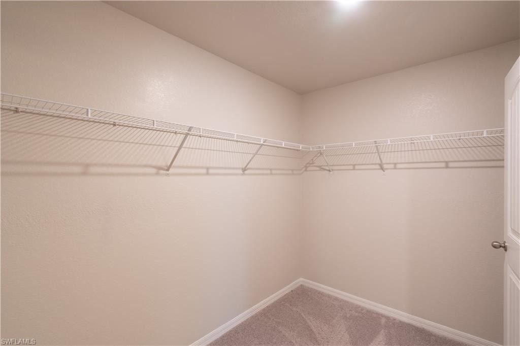 Walk-in closet featuring light-toned walls, white wire shelving, and carpeting