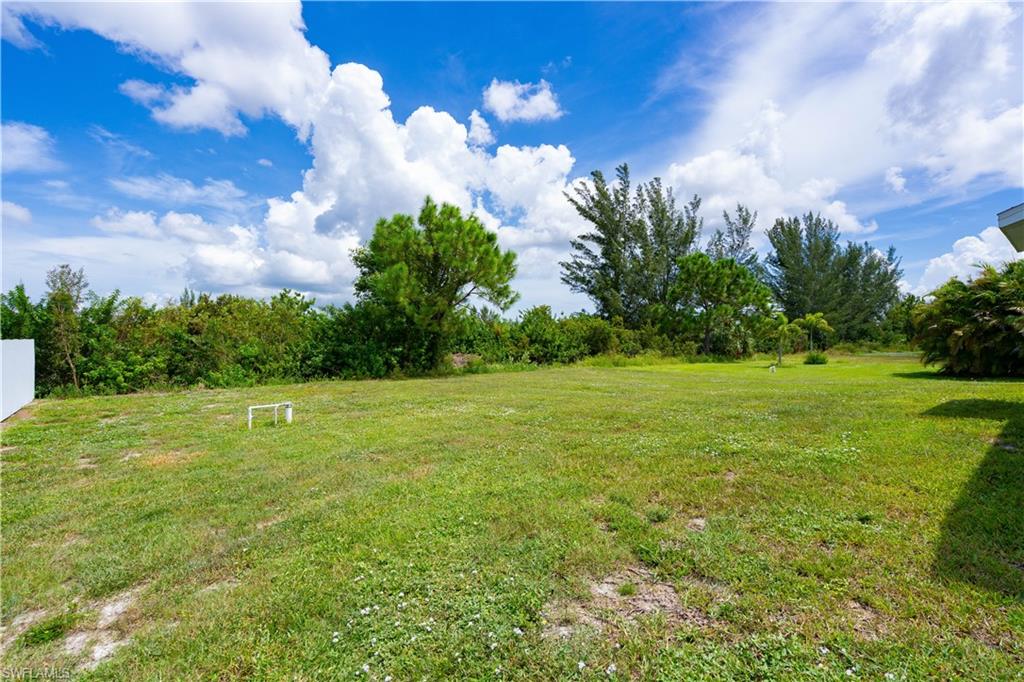 Spacious grass yard with abundant natural light and mature trees