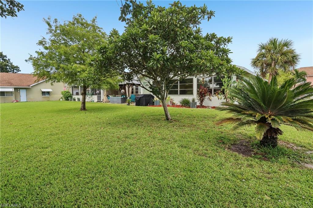 Expansive green lawn with mature trees and a sago palm