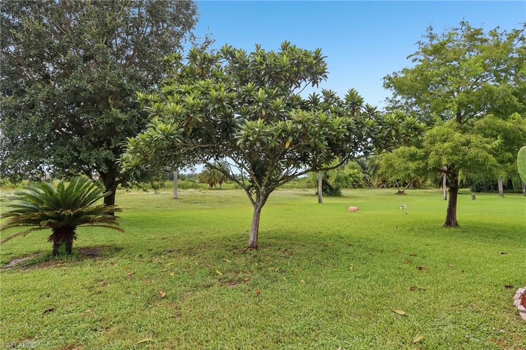 19906 Lake Vista CIR photo 25