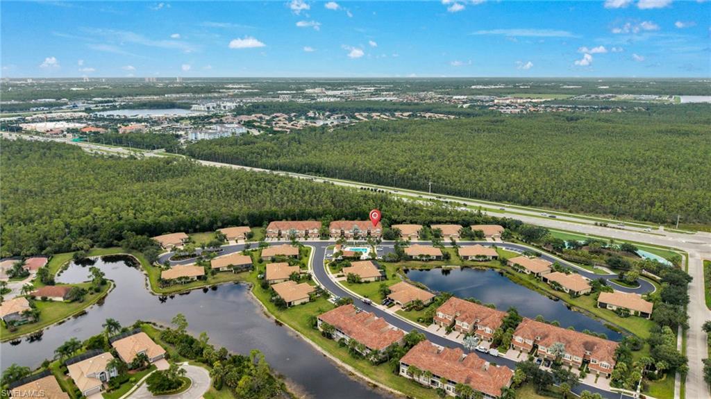 9048 Triangle Palm LN 1101