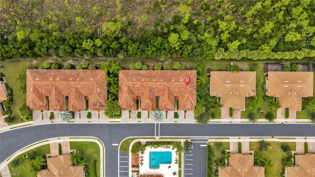 9048 Triangle Palm LN 1101 photo 30