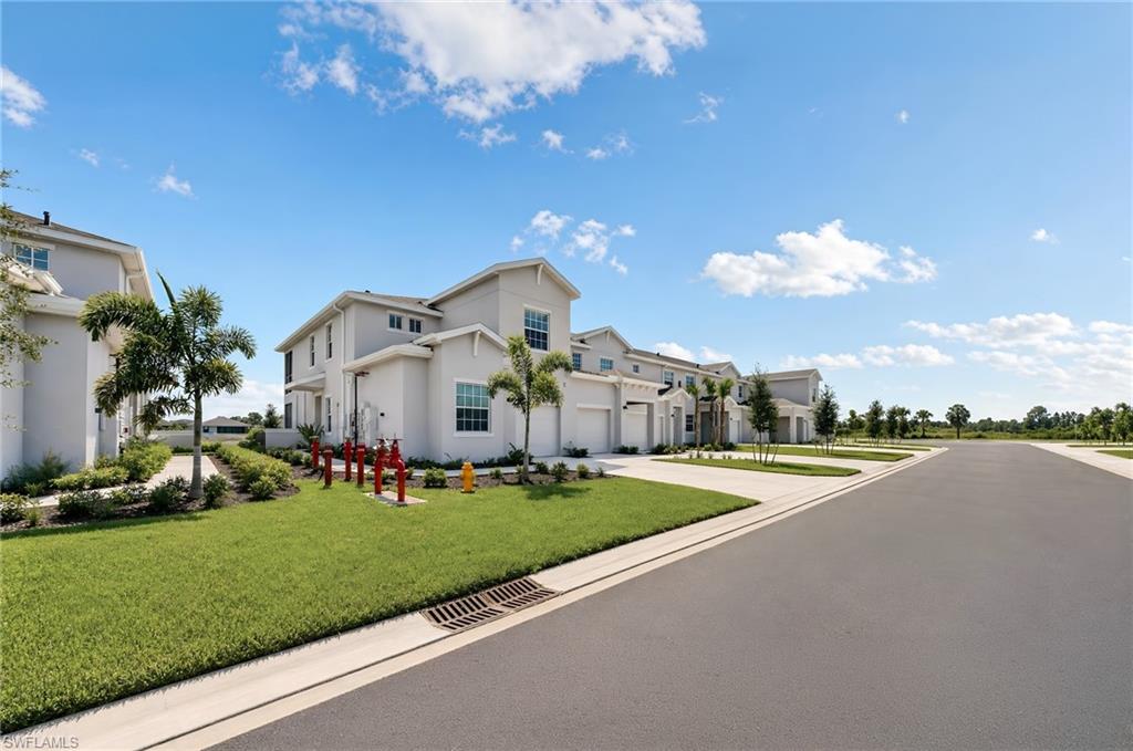 20520 Hazelnut CT S 1912