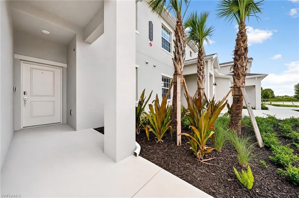 20520 Hazelnut CT S 1912 photo 6