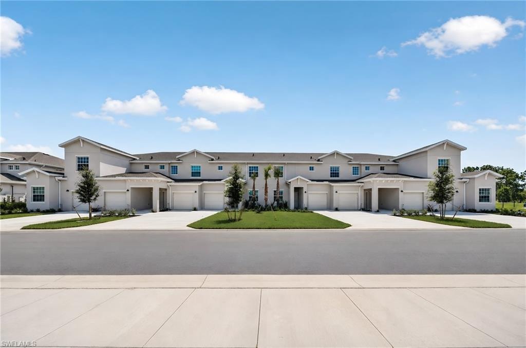 20520 Hazelnut CT S 1912