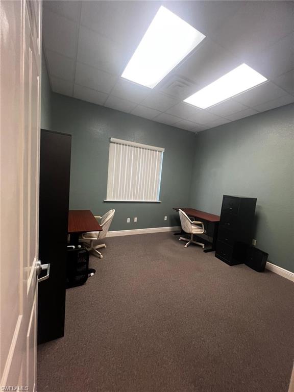Carpeted flooring with light-toned wall paint and white trim