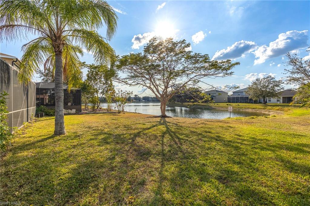 8197 Silver Birch WAY photo 38