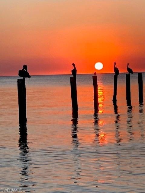 Sunsets
