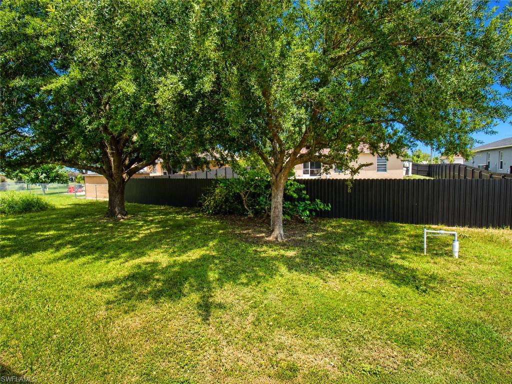 Grassy yard featuring two mature trees and a dark-toned fence