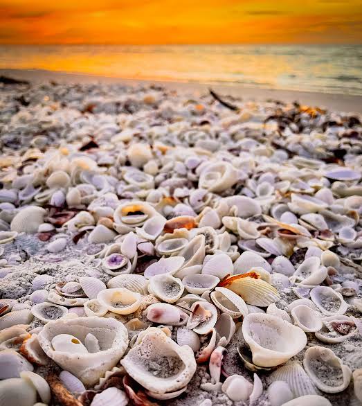 Captiva